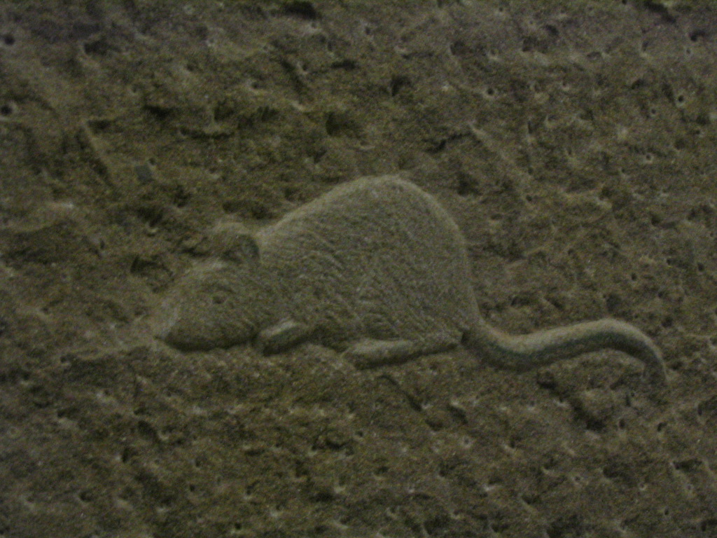Grosser Stein fertig 011.JPG